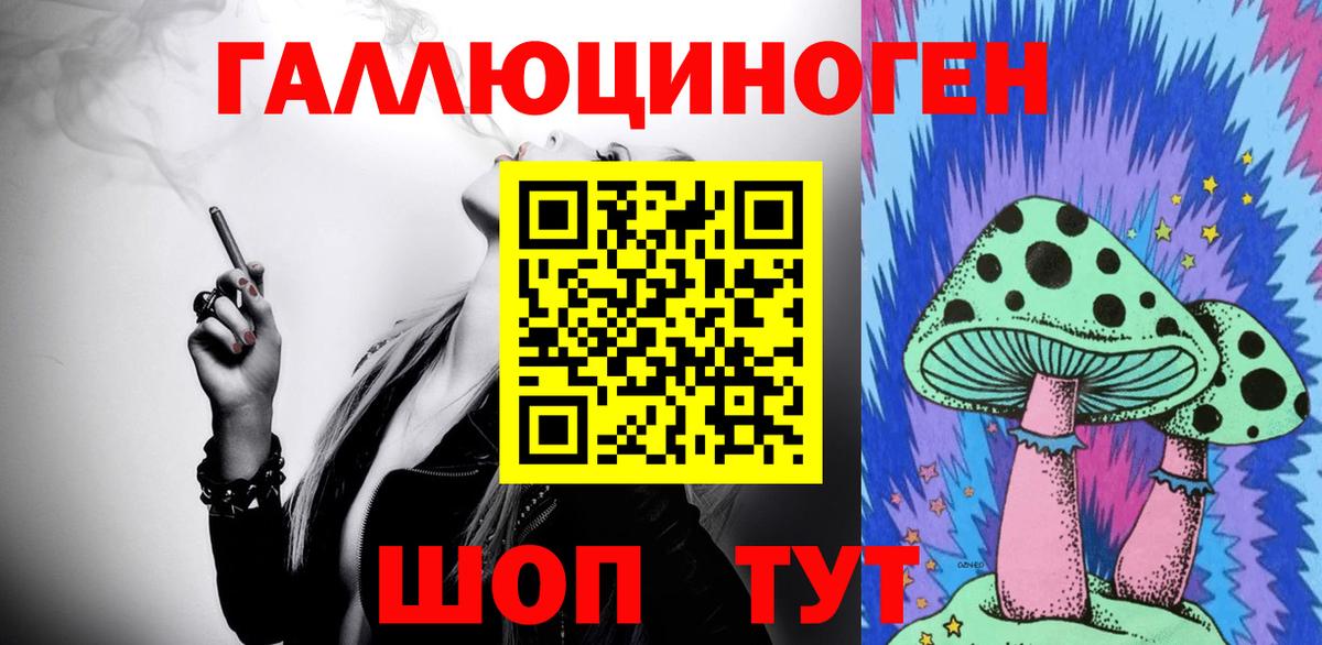 Псилоцибиновые грибы Cubensis Вологда